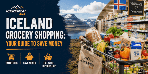 Iceland Grocery Shopping: Your Guide to Save Money