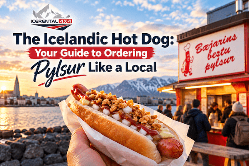 Icelandic hot dog guide