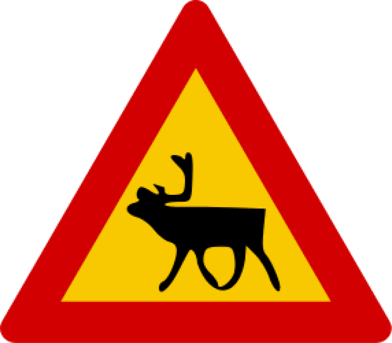 Road sign for reindeers in Iceland