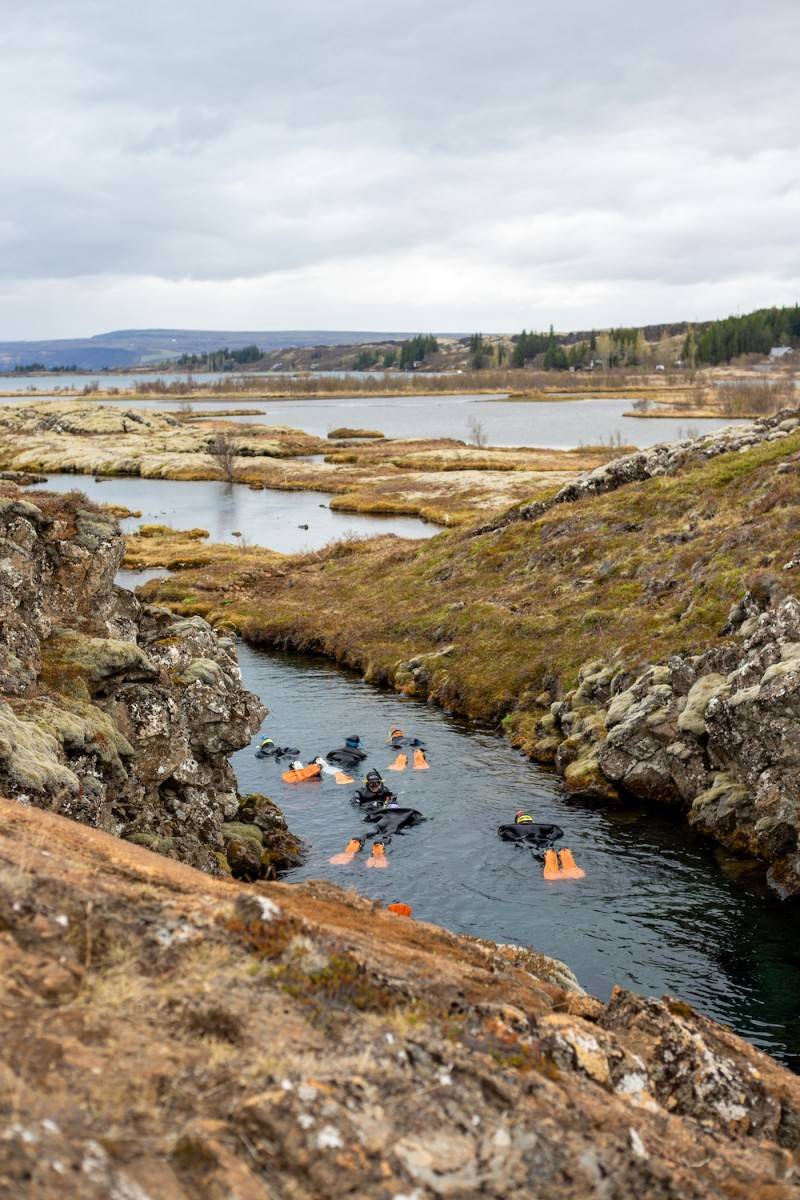 Snorkelling at Þingvellir