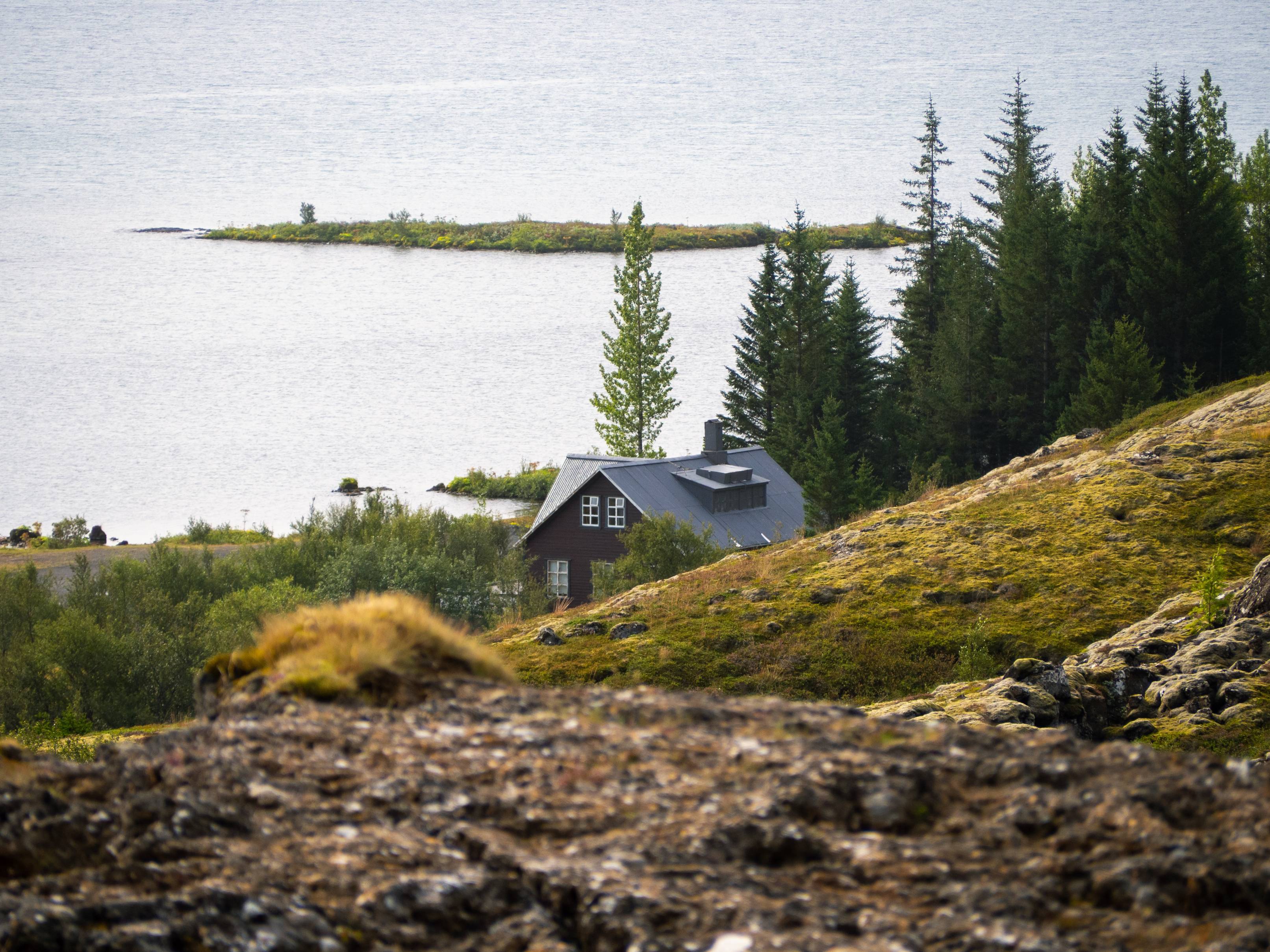 summer-cabin-in-iceland-standing-by-the-water-surrounded-by-trees-in-summer